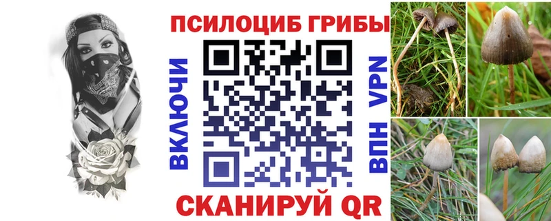 Псилоцибиновые грибы мухоморы  Советск 