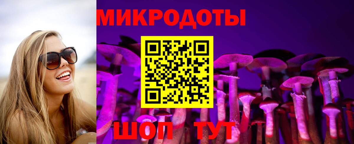 как найти   Вход с VPN  Советск  Псилоцибиновые грибы мицелий 