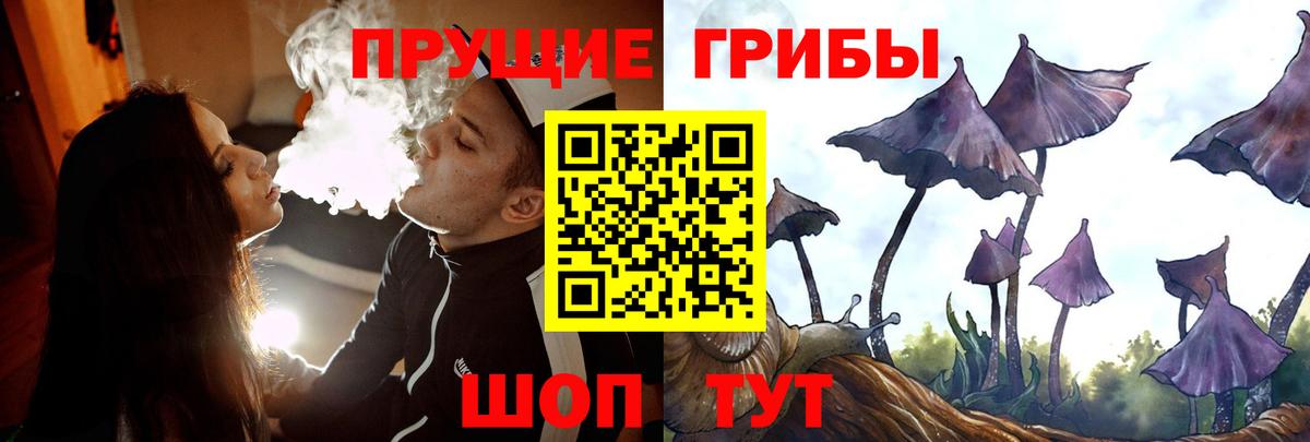 Галлюциногенные грибы мицелий Советск