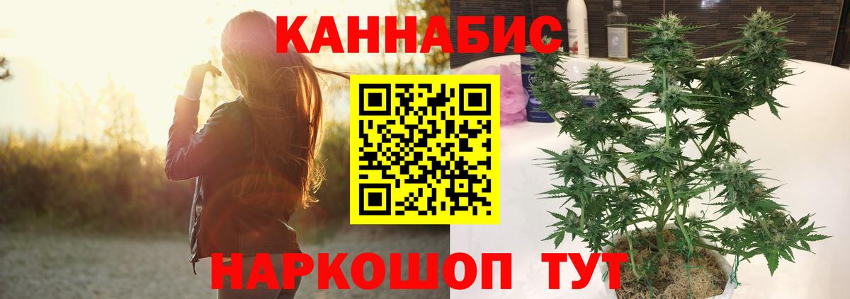 Шишки марихуана индика Советск
